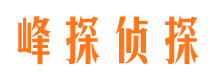 盘县侦探公司